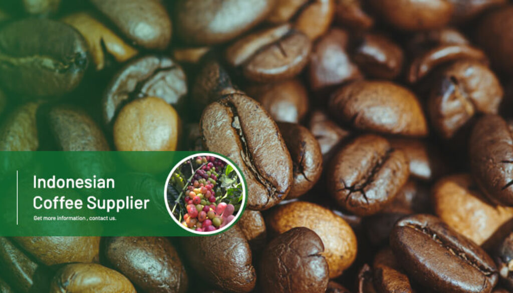 Rempah Dewata - Indonesian Coffee Beans Supplier(1)
