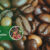 Rempah Dewata - Indonesian Coffee Beans Supplier(1)