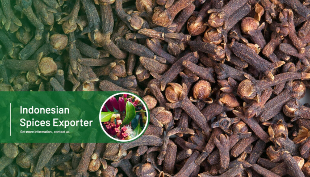 Rempah Dewata - Indonesian Spices Exporter(1)
