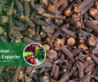 Rempah Dewata - Indonesian Spices Exporter(1)