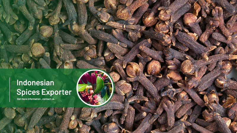 Rempah Dewata - Indonesian Spices Exporter(1)